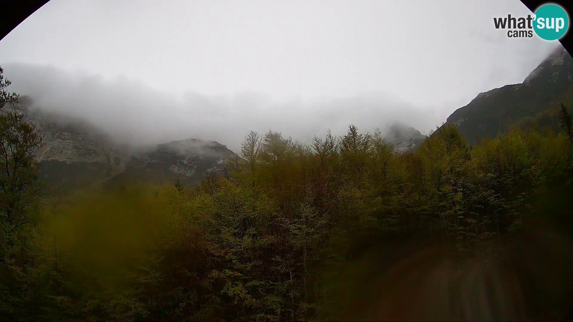 PLANINA RAZOR Live Cam (1315) | vista su Vogel e Globoko