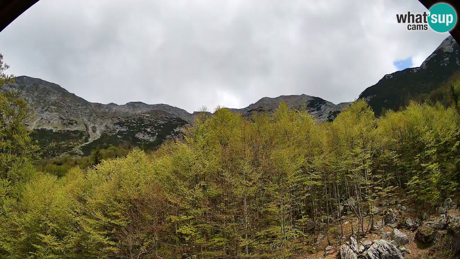 PLANINA RAZOR kamera (1315) | pogled na Vogel in Globoko