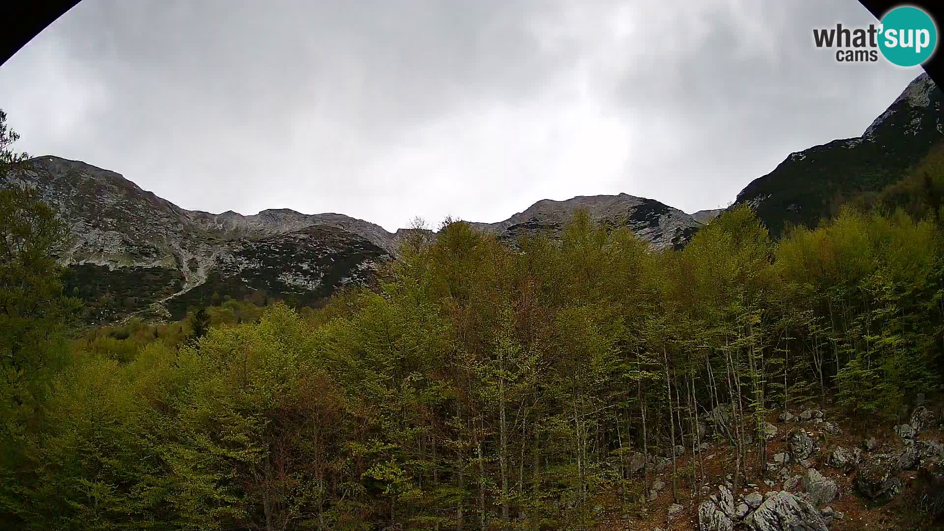 Webcam PLANINA RAZOR (1315) | Blick auf Vogel und Globoko