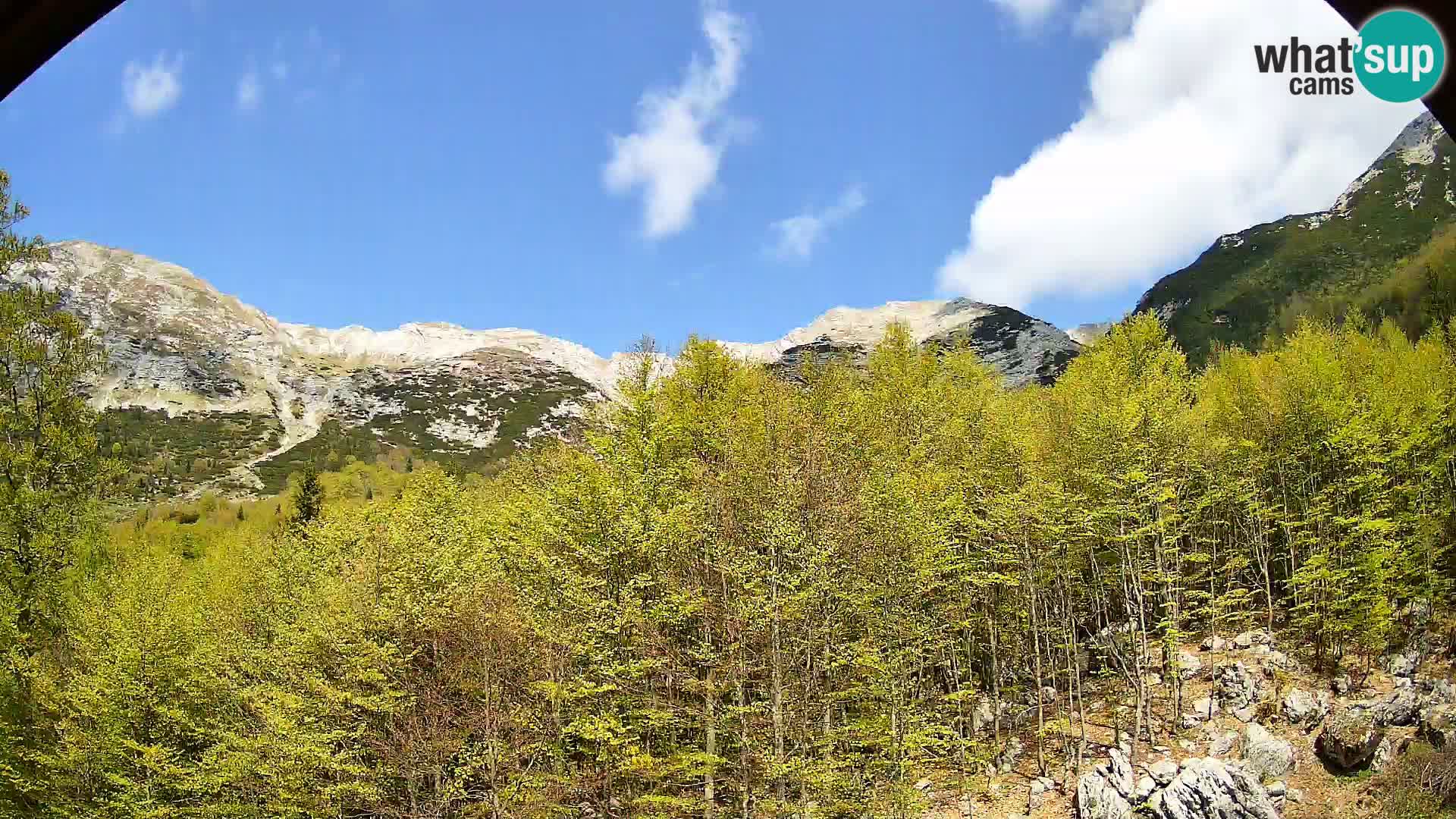 Webcam PLANINA RAZOR (1315) | Blick auf Vogel und Globoko