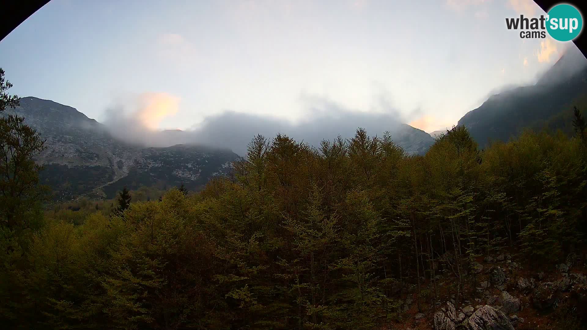 Cámara web PLANINA RAZOR (1315) | vista a Vogel y Globoko