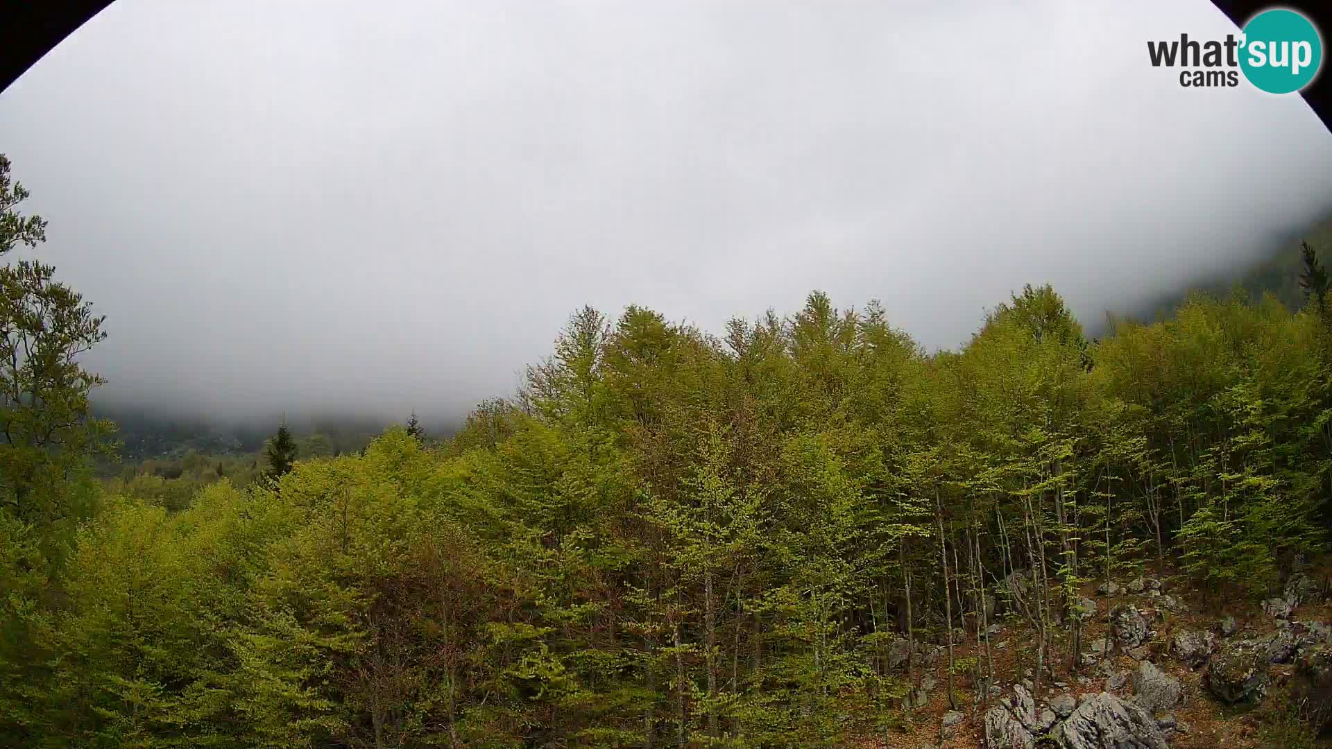 Webcam PLANINA RAZOR (1315) | Blick auf Vogel und Globoko