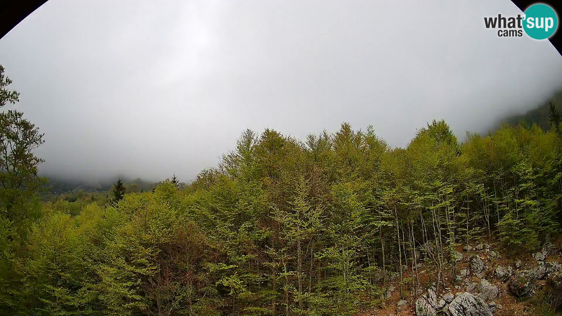 Webcam PLANINA RAZOR (1315) | Blick auf Vogel und Globoko