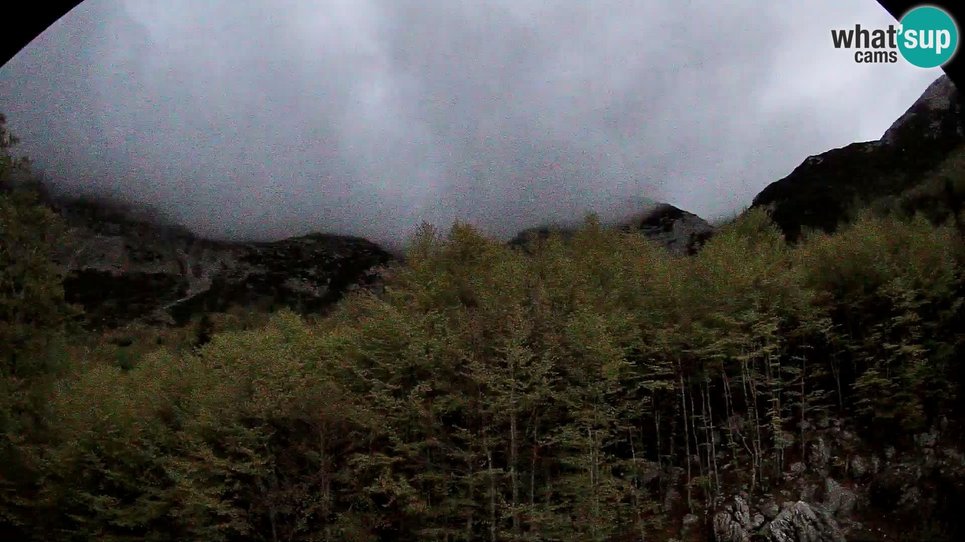 Livecam PLANINA RAZOR (1315) | vue sur Vogel et Globoko