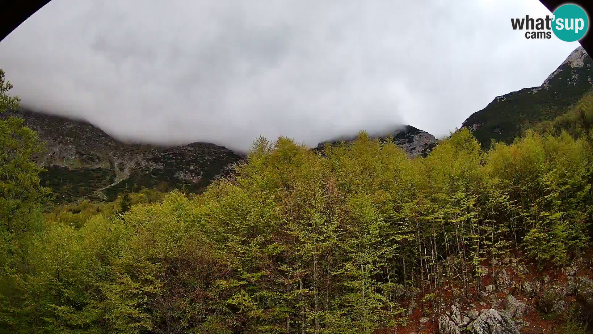 PLANINA RAZOR Live Cam (1315) | vista su Vogel e Globoko