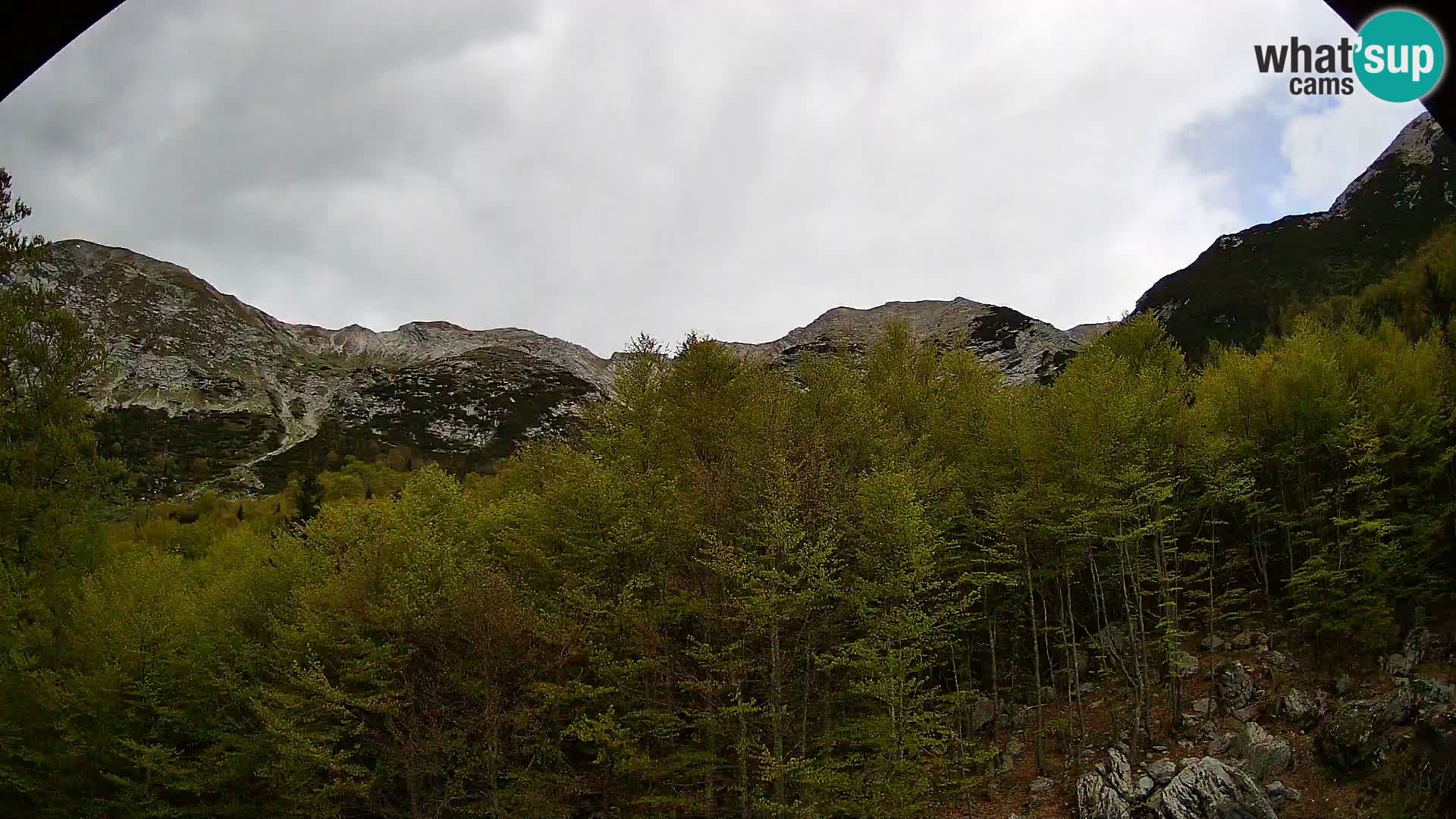 PLANINA RAZOR Live Cam (1315) | vista su Vogel e Globoko