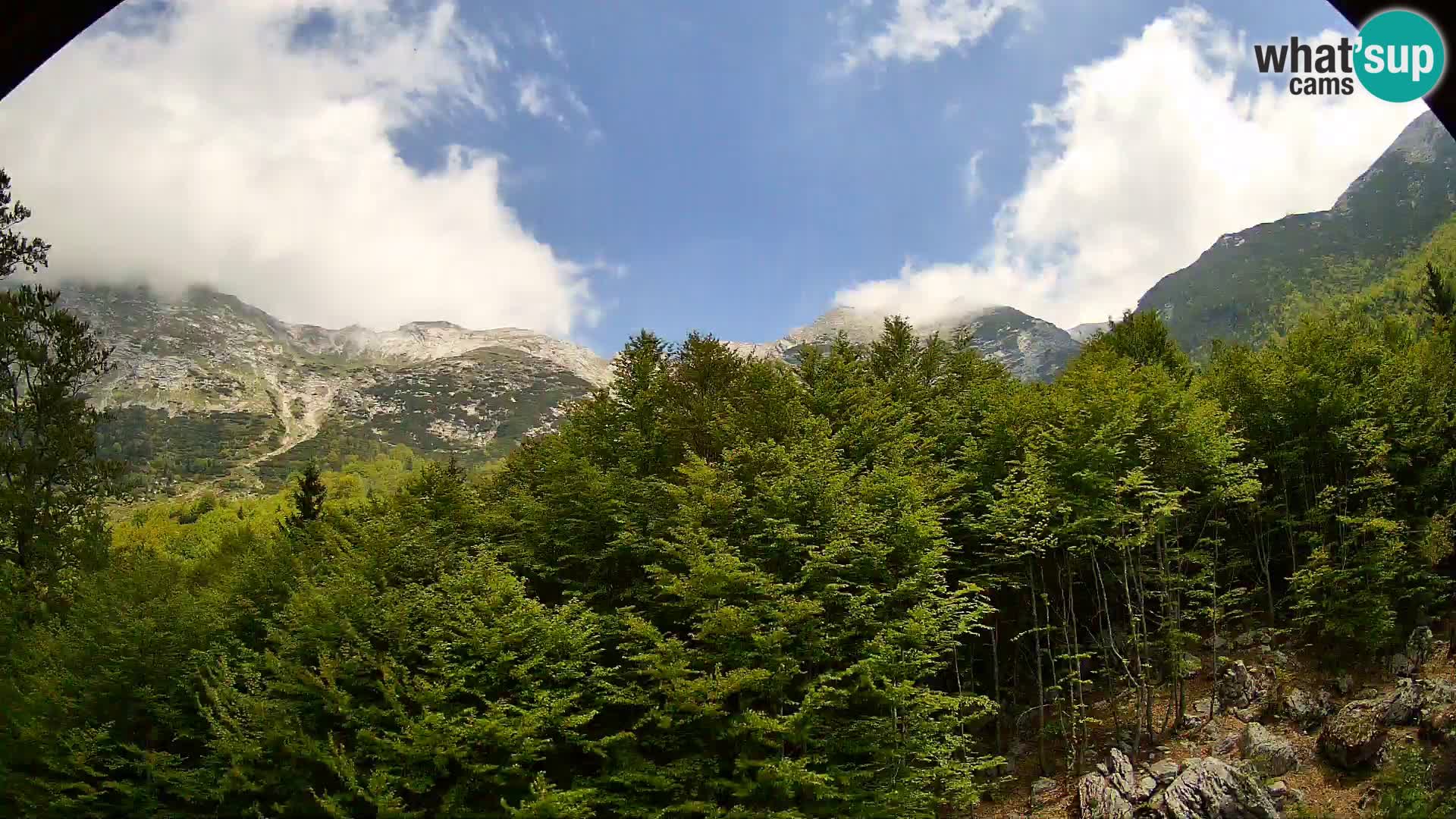 Livecam PLANINA RAZOR (1315) | vue sur Vogel et Globoko