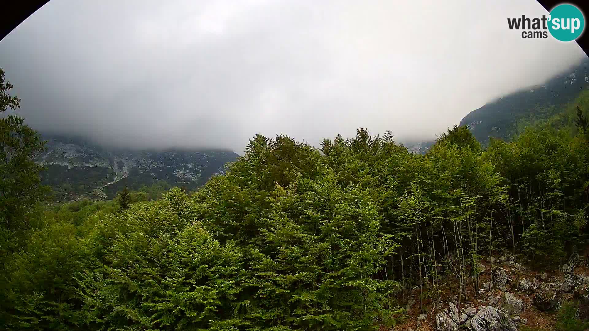 Livecam PLANINA RAZOR (1315) | vue sur Vogel et Globoko