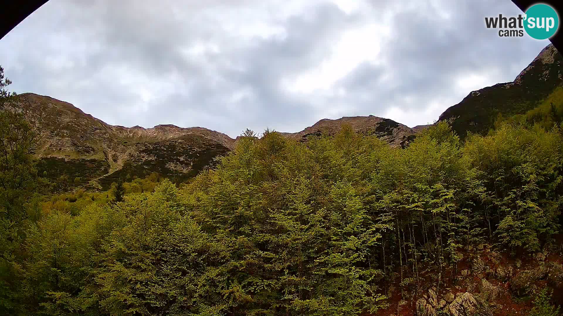 PLANINA RAZOR Live Cam (1315) | vista su Vogel e Globoko