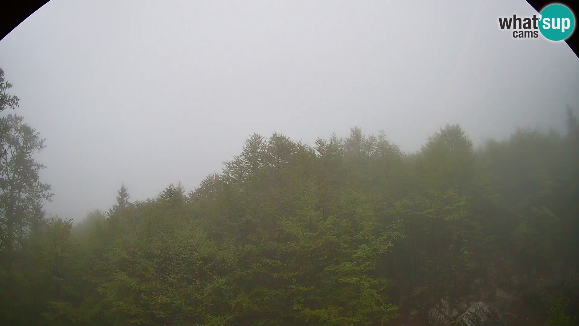 PLANINA RAZOR Live Cam (1315) | vista su Vogel e Globoko