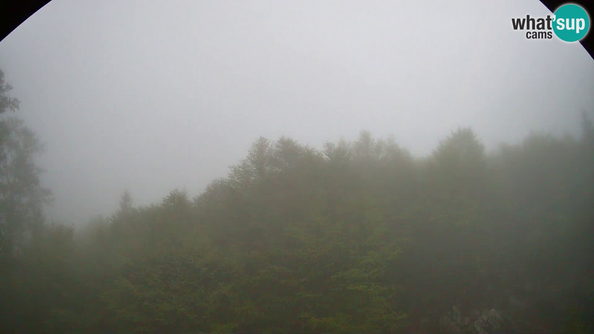 Webcam PLANINA RAZOR (1315) | Blick auf Vogel und Globoko
