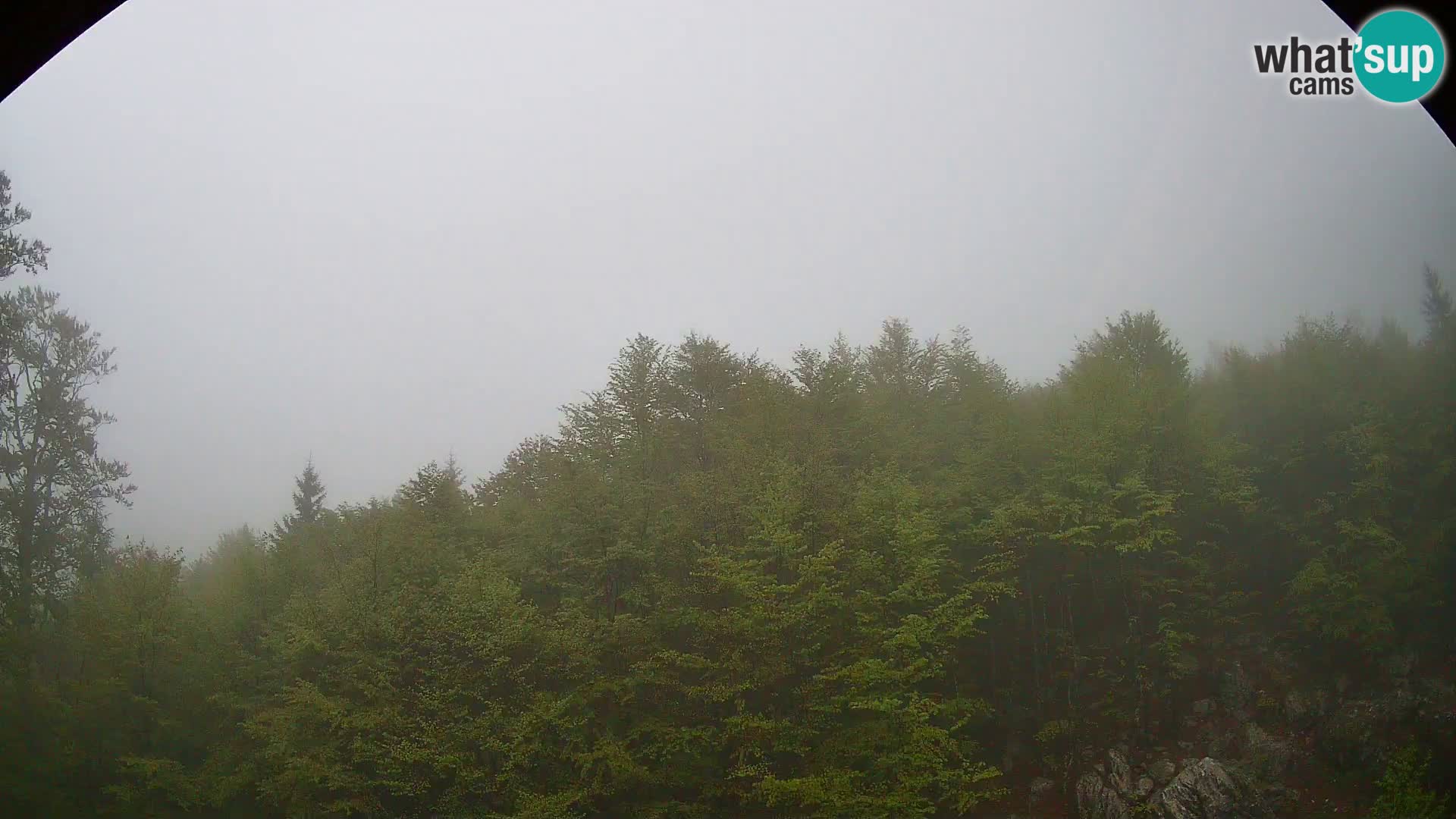 PLANINA RAZOR kamera (1315) | pogled na Vogel in Globoko
