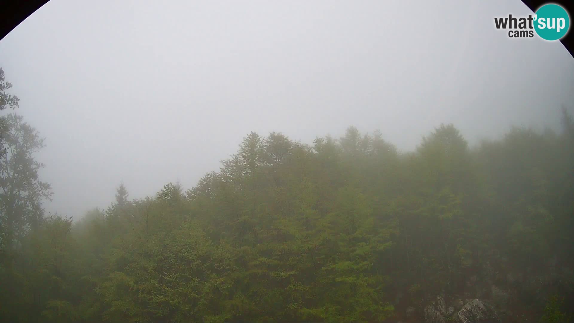 PLANINA RAZOR Live Cam (1315) | vista su Vogel e Globoko