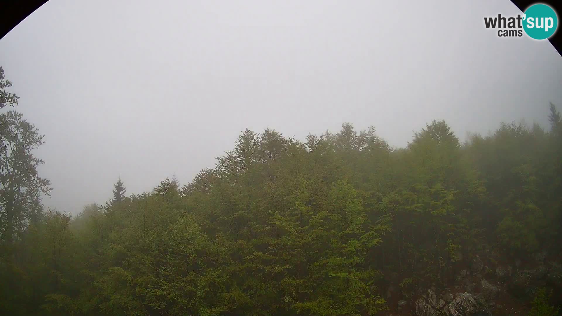 PLANINA RAZOR kamera (1315) | pogled na Vogel in Globoko