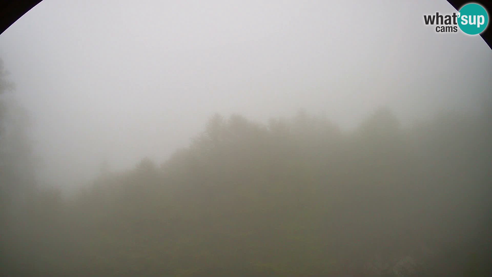 PLANINA RAZOR kamera (1315) | pogled na Vogel in Globoko