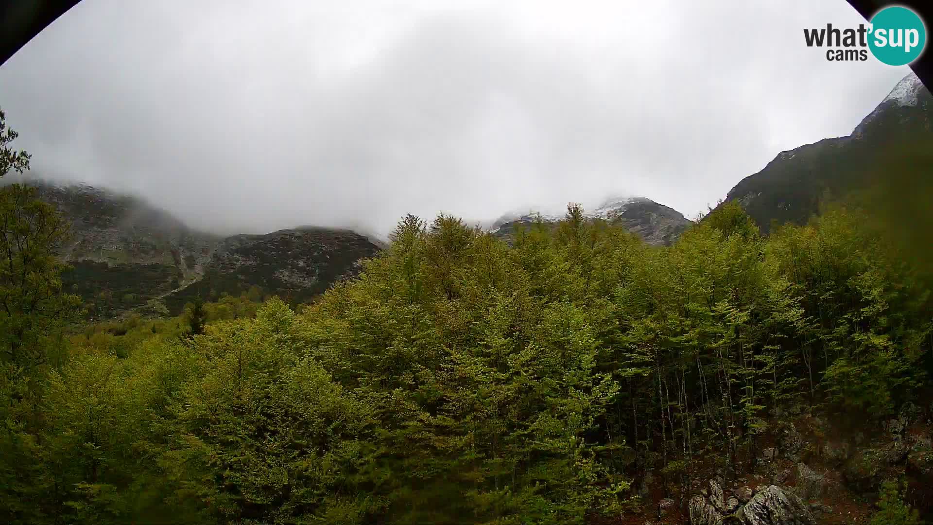 PLANINA RAZOR web kamera (1315) | pogled na Vogel i Globoko