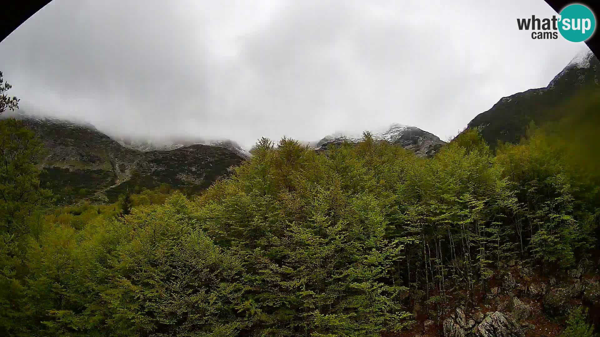 PLANINA RAZOR web kamera (1315) | pogled na Vogel i Globoko