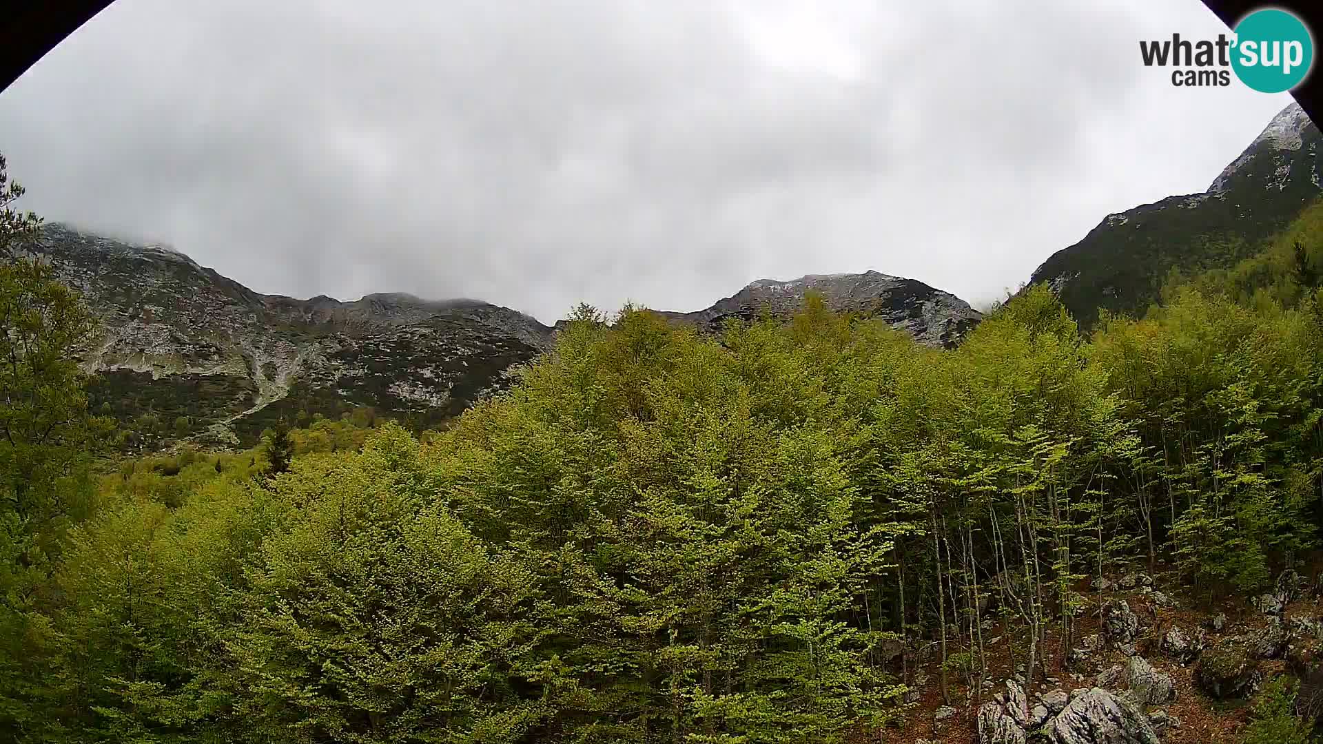 PLANINA RAZOR webcam (1315) | view to Vogel and Globoko
