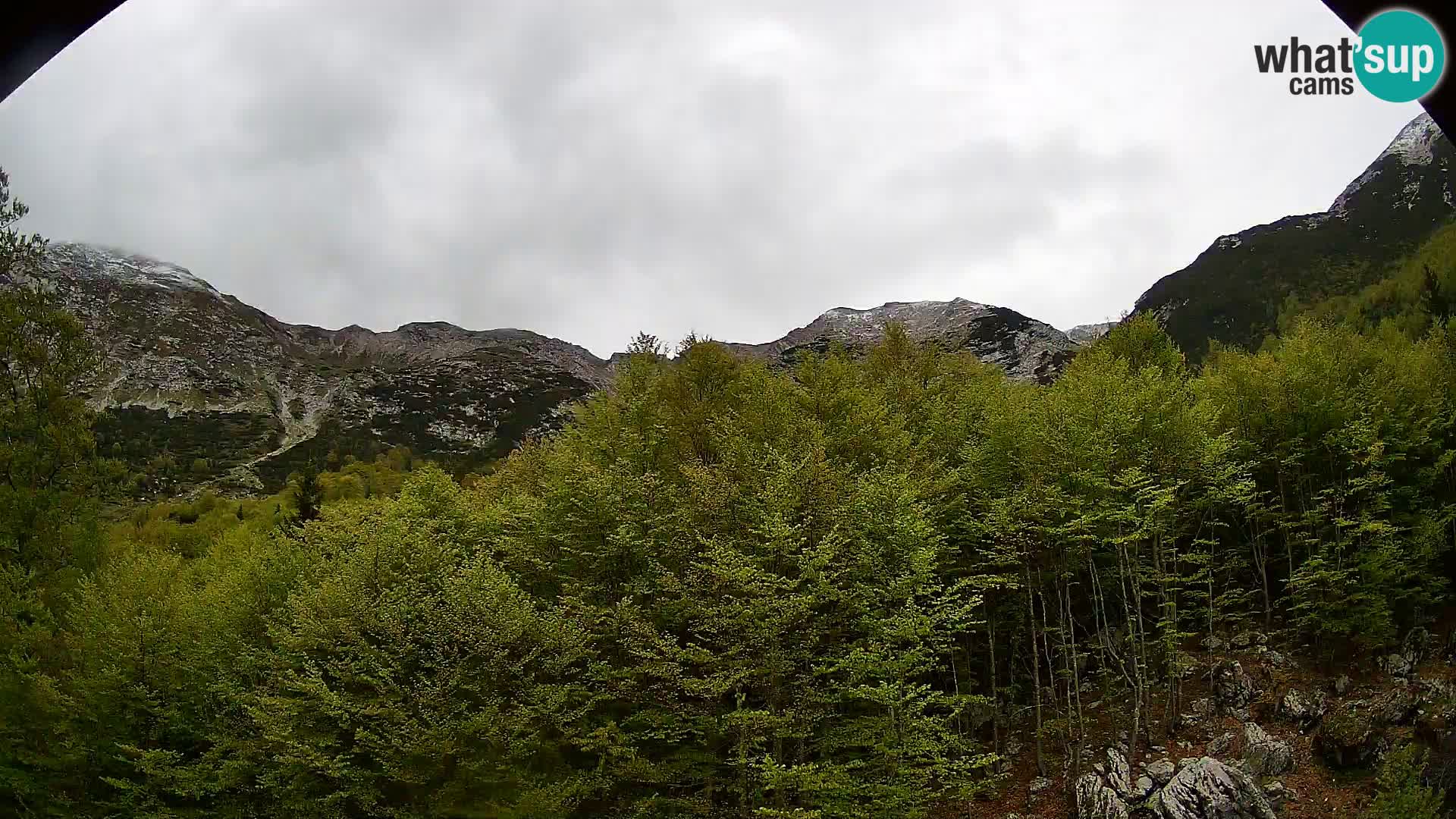 PLANINA RAZOR web kamera (1315) | pogled na Vogel i Globoko