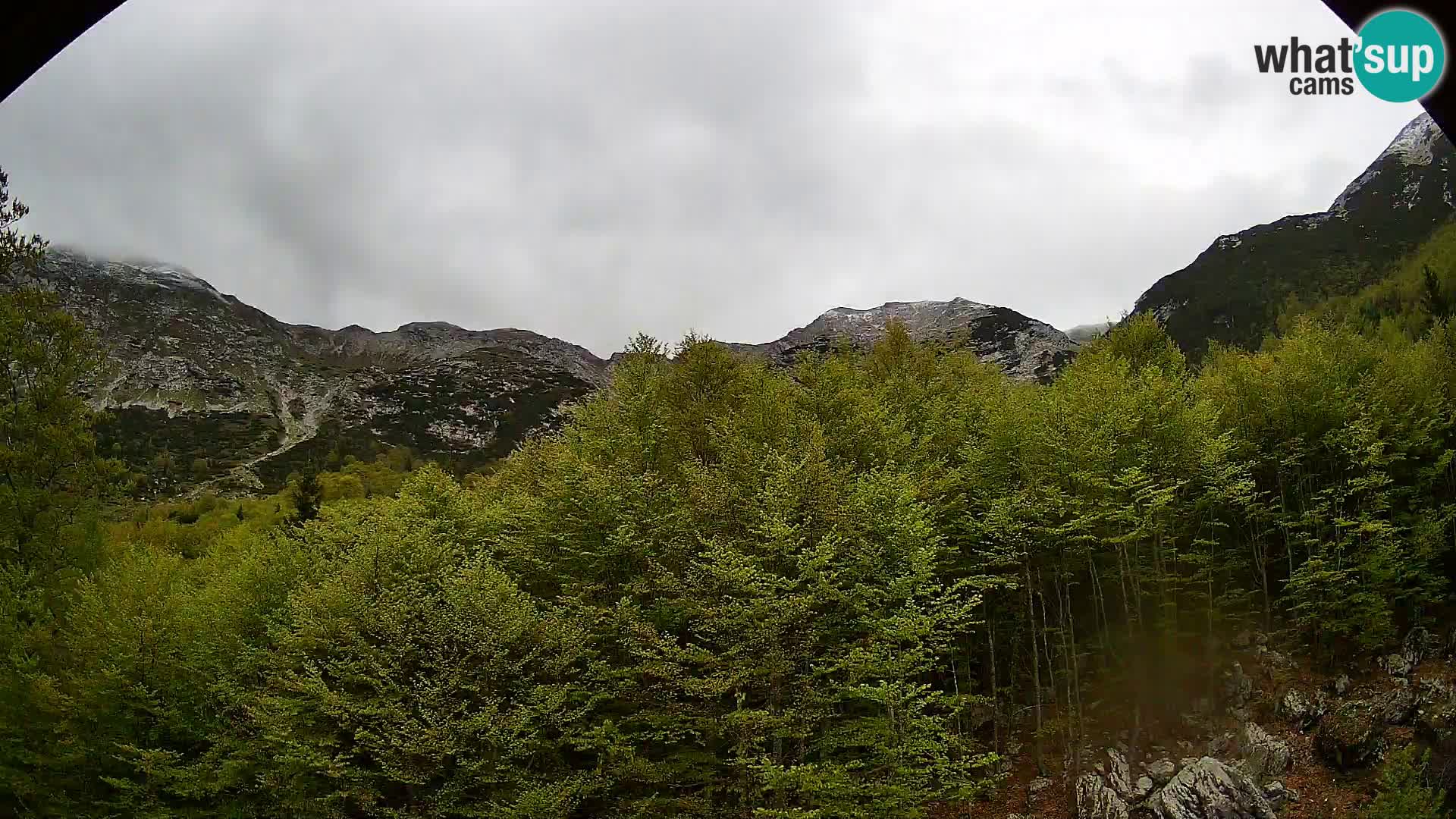 Webcam PLANINA RAZOR (1315) | Blick auf Vogel und Globoko
