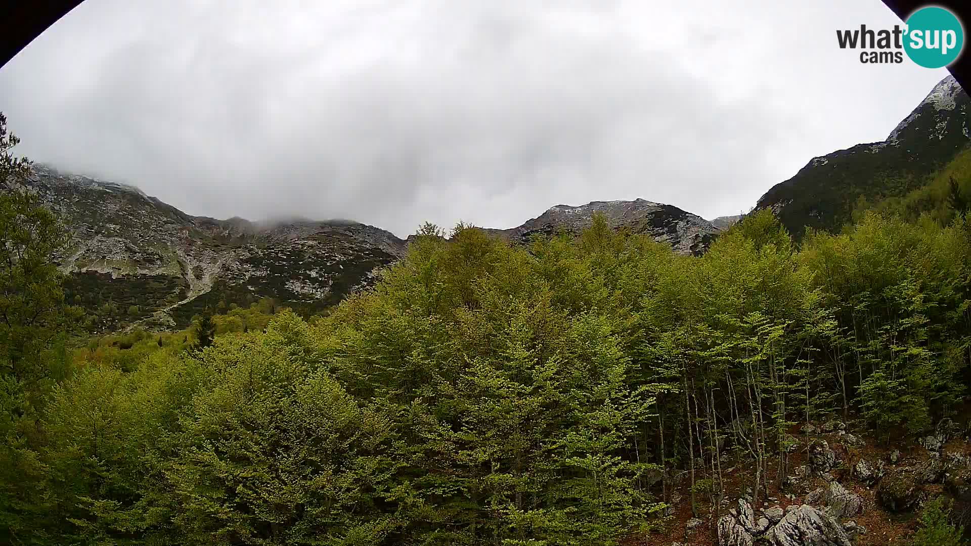 Cámara web PLANINA RAZOR (1315) | vista a Vogel y Globoko