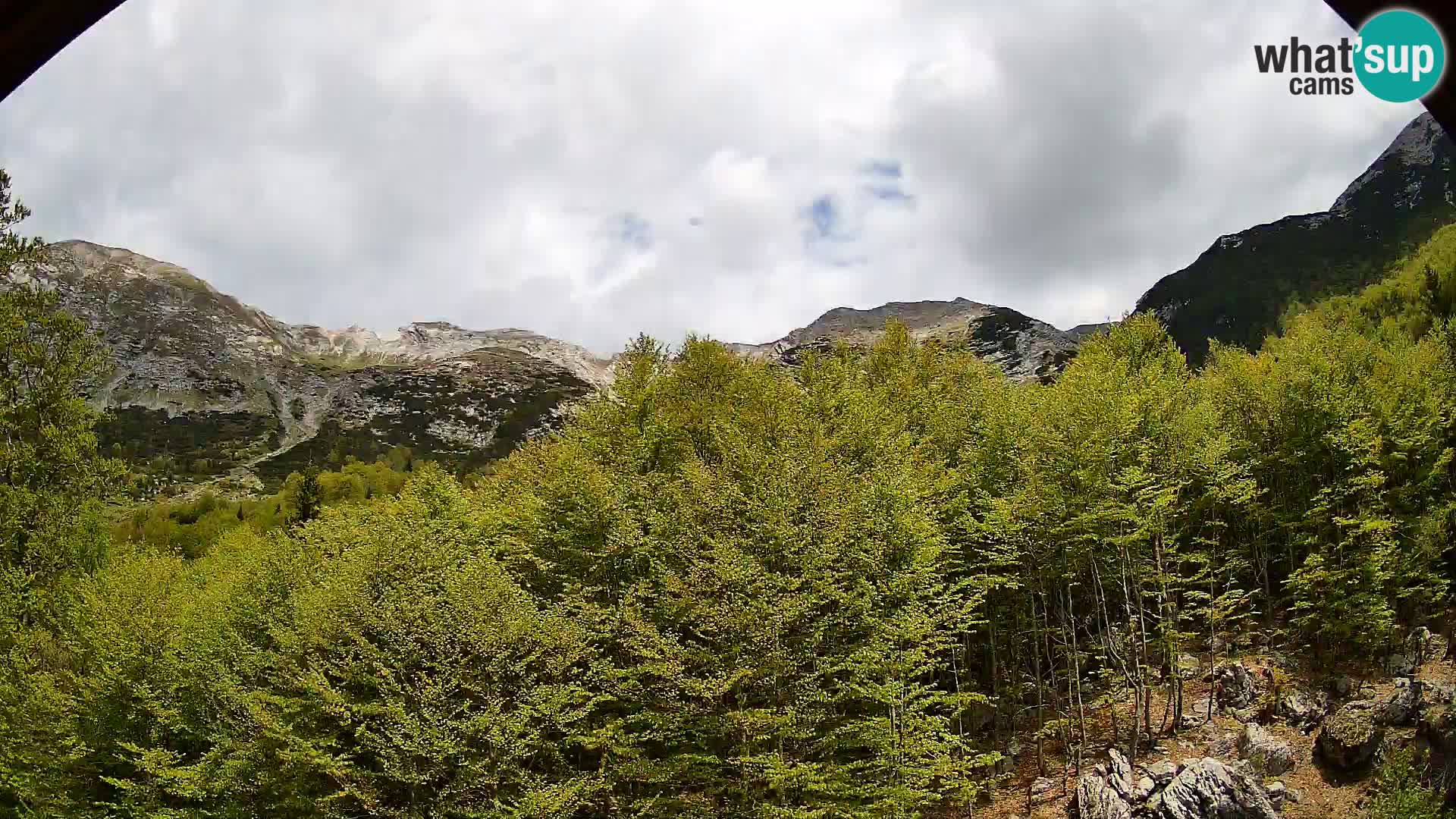Livecam PLANINA RAZOR (1315) | vue sur Vogel et Globoko
