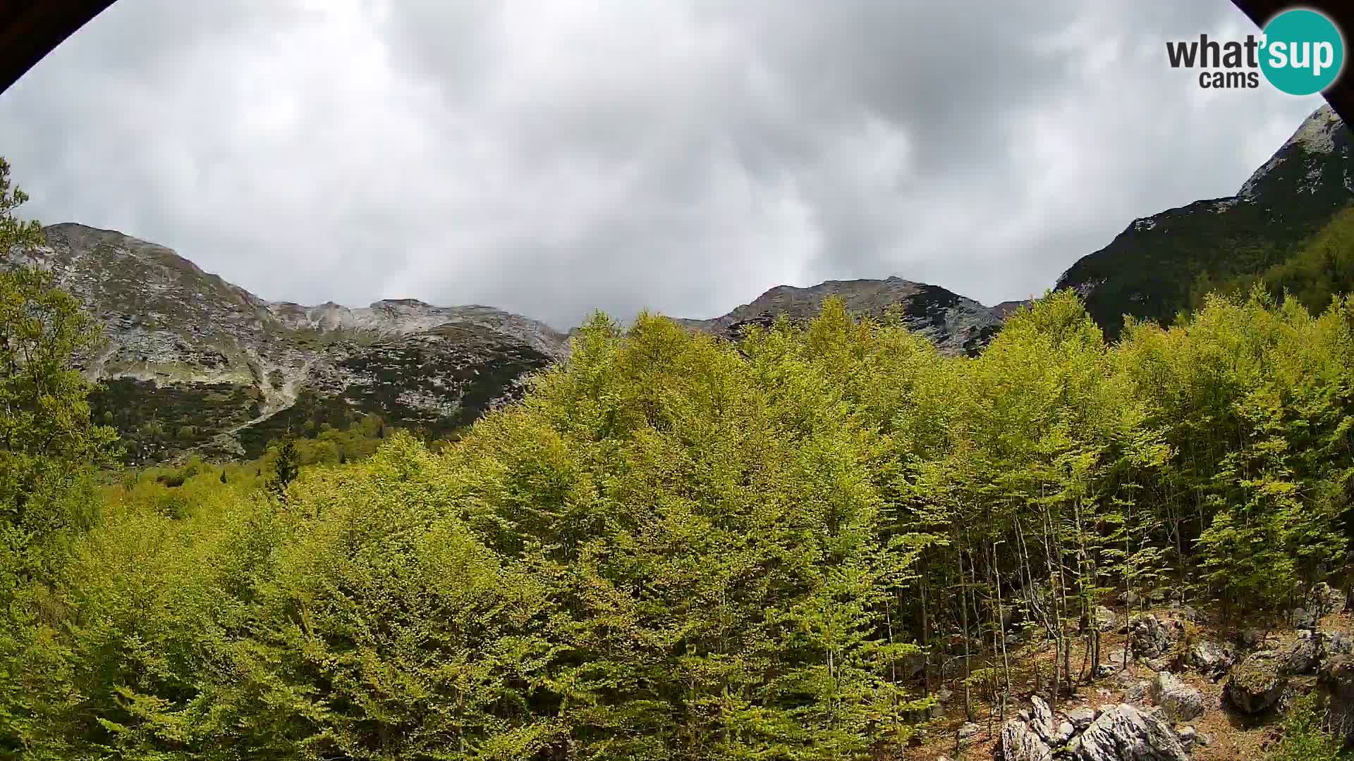 PLANINA RAZOR web kamera (1315) | pogled na Vogel i Globoko
