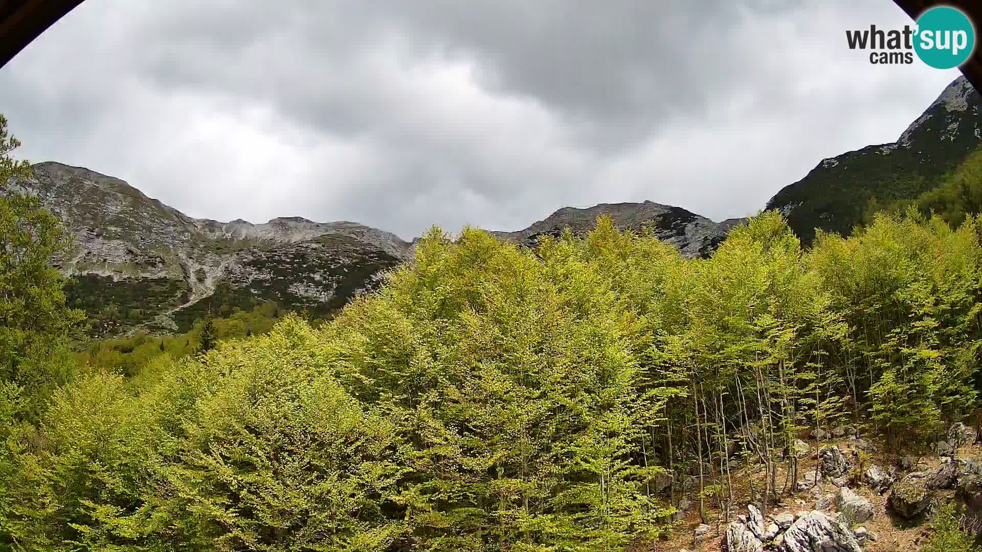 PLANINA RAZOR kamera (1315) | pogled na Vogel in Globoko