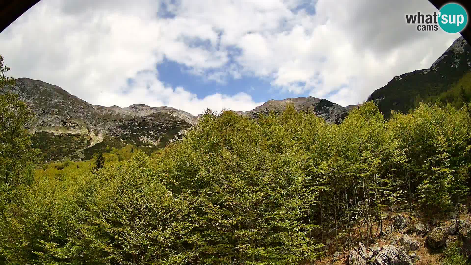 Cámara web PLANINA RAZOR (1315) | vista a Vogel y Globoko