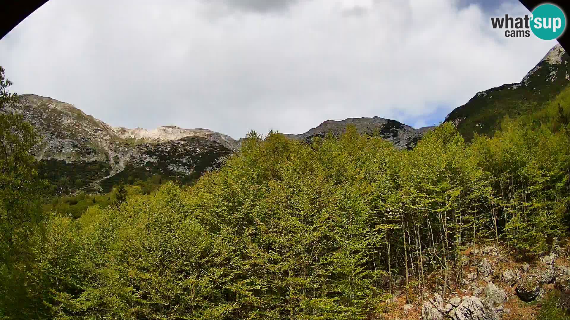 PLANINA RAZOR kamera (1315) | pogled na Vogel in Globoko