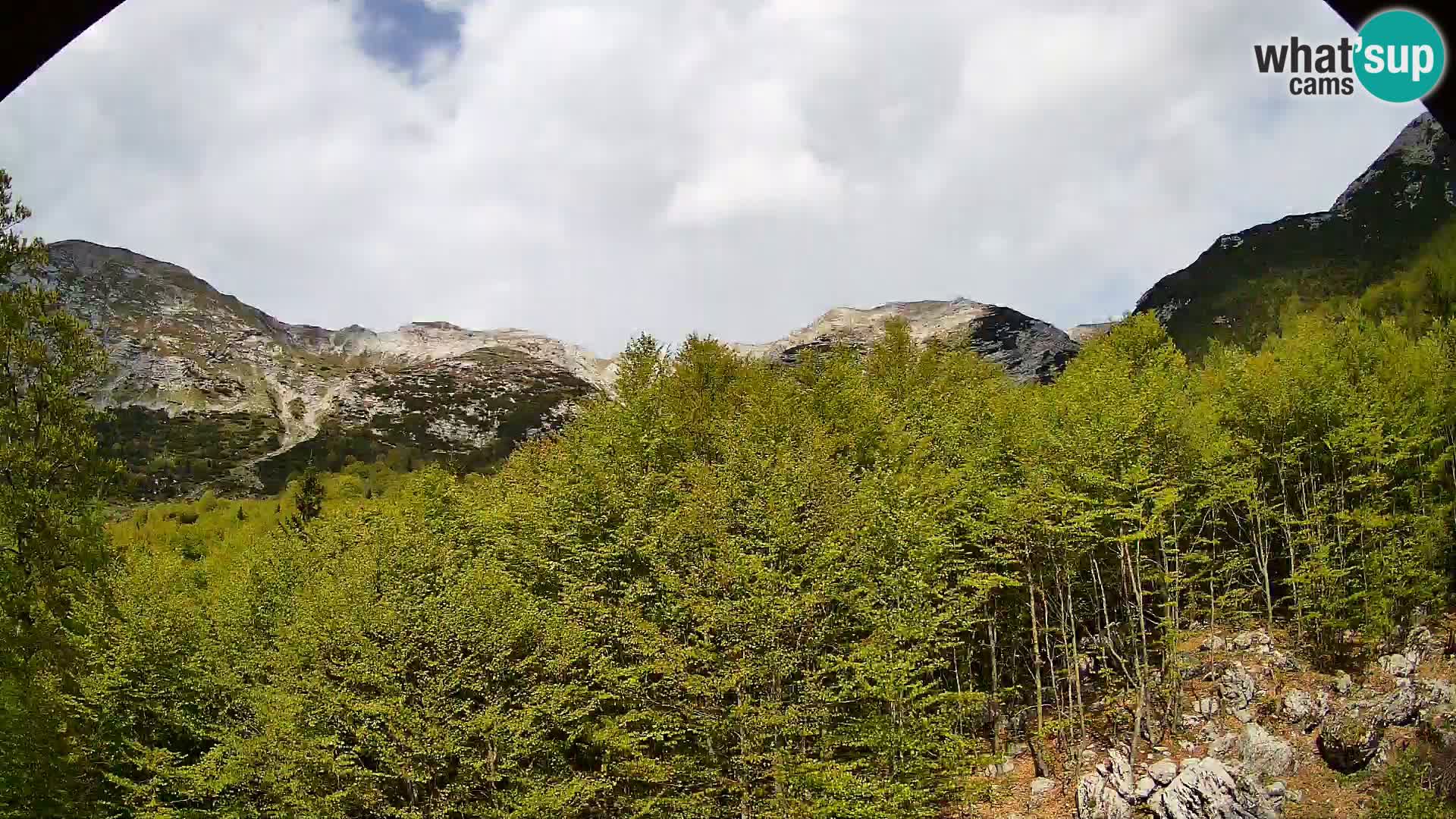 Webcam PLANINA RAZOR (1315) | Blick auf Vogel und Globoko
