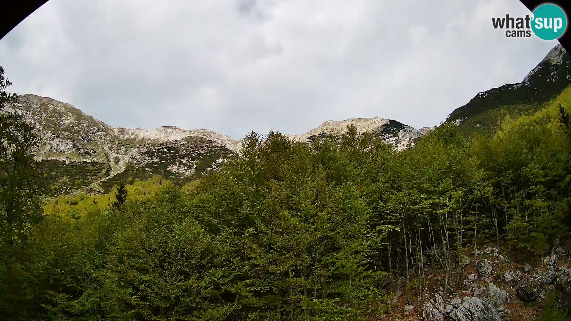 Webcam PLANINA RAZOR (1315) | Blick auf Vogel und Globoko