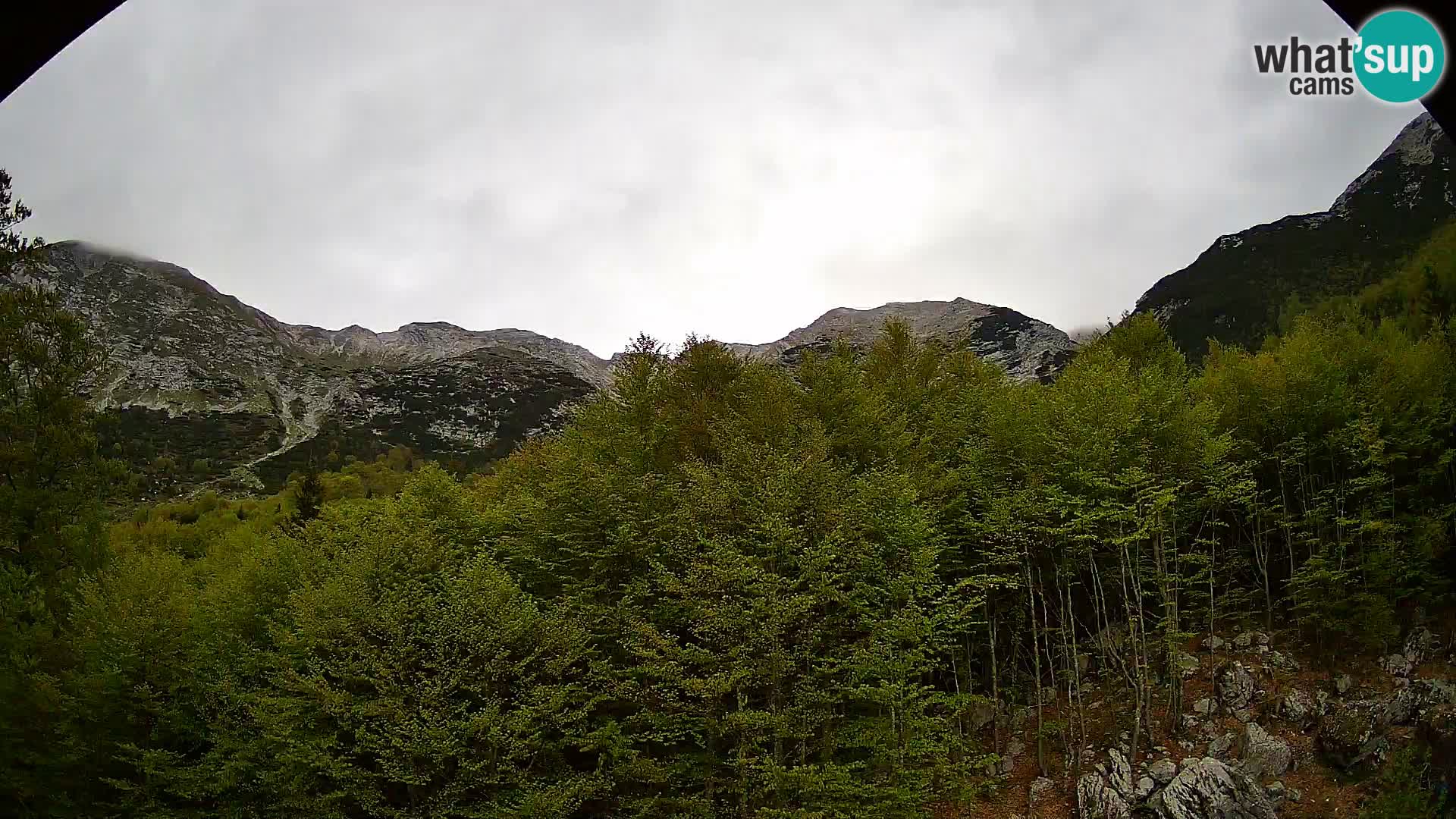 PLANINA RAZOR web kamera (1315) | pogled na Vogel i Globoko