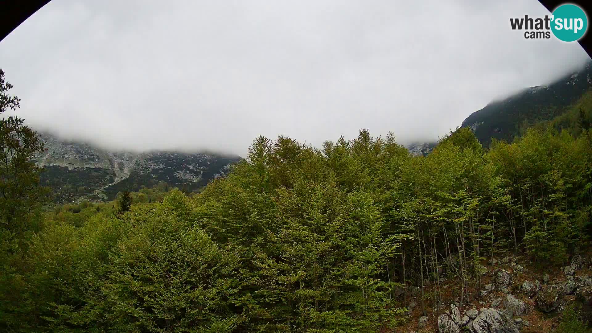 Cámara web PLANINA RAZOR (1315) | vista a Vogel y Globoko