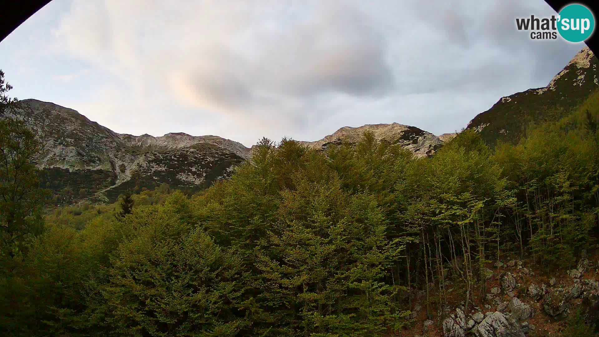 PLANINA RAZOR webcam (1315) | view to Vogel and Globoko