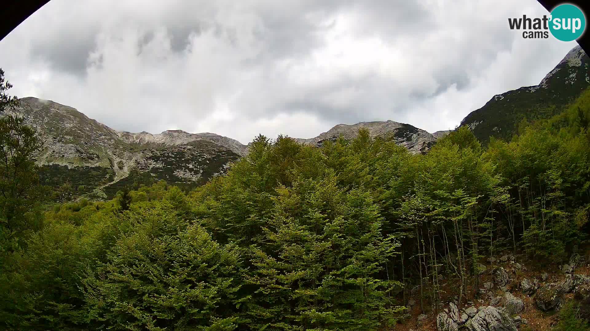 Webcam PLANINA RAZOR (1315) | Blick auf Vogel und Globoko