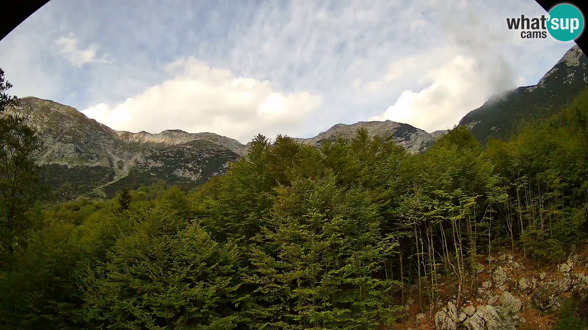 Webcam PLANINA RAZOR (1315) | Blick auf Vogel und Globoko