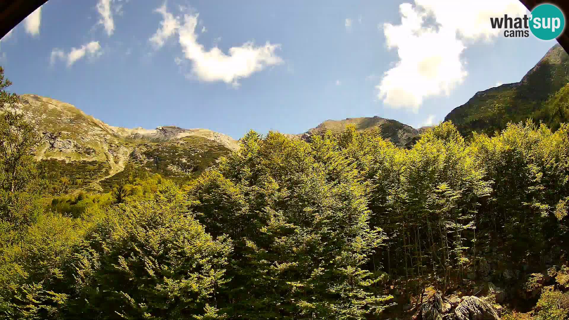 PLANINA RAZOR kamera (1315) | pogled na Vogel in Globoko