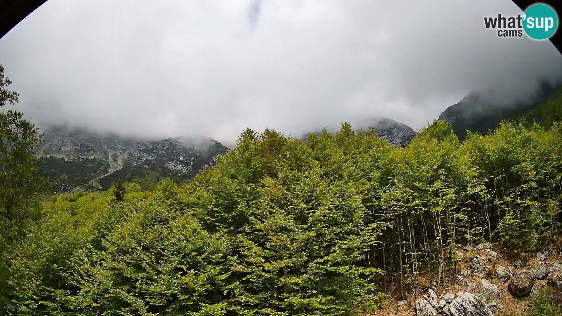 Webcam PLANINA RAZOR (1315) | Blick auf Vogel und Globoko