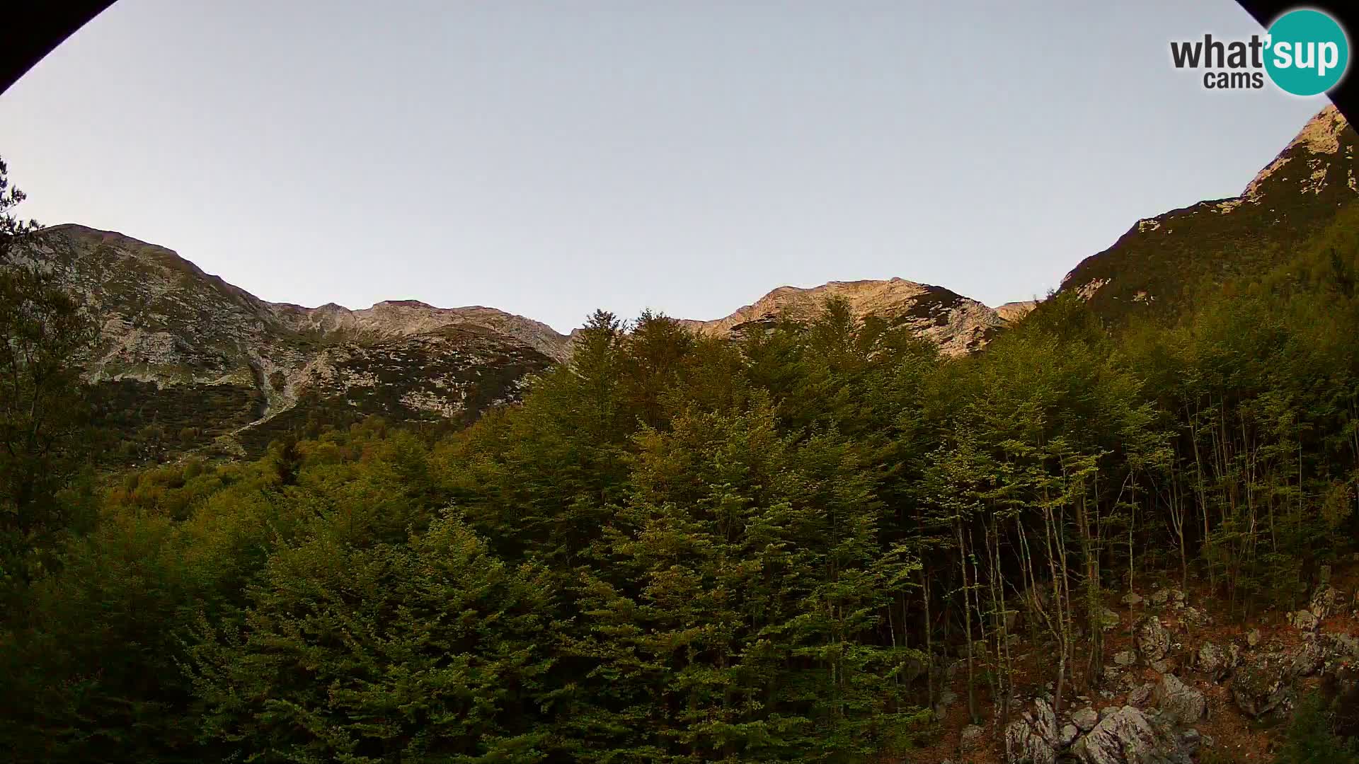 Webcam PLANINA RAZOR (1315) | Blick auf Vogel und Globoko