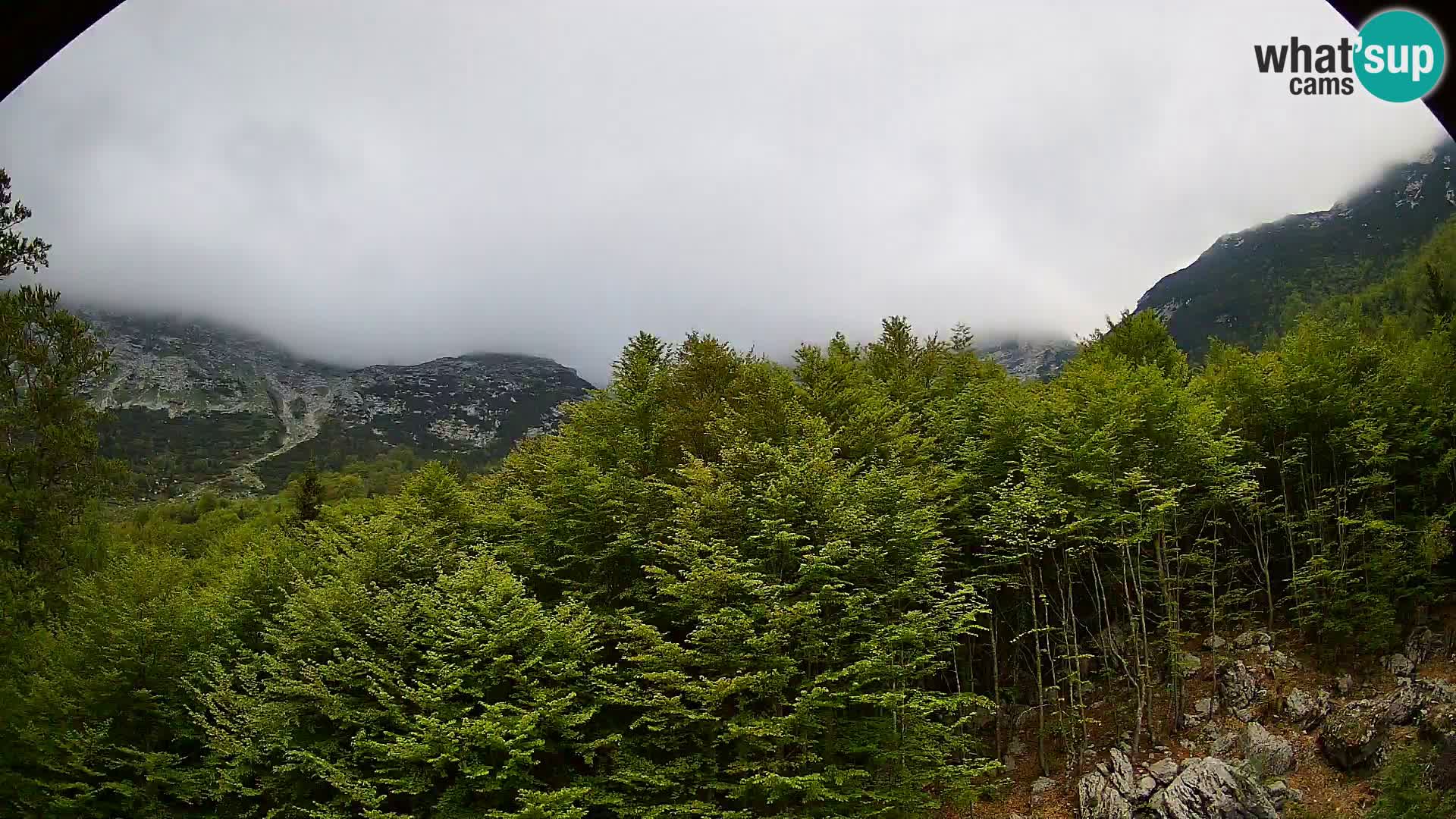 Cámara web PLANINA RAZOR (1315) | vista a Vogel y Globoko