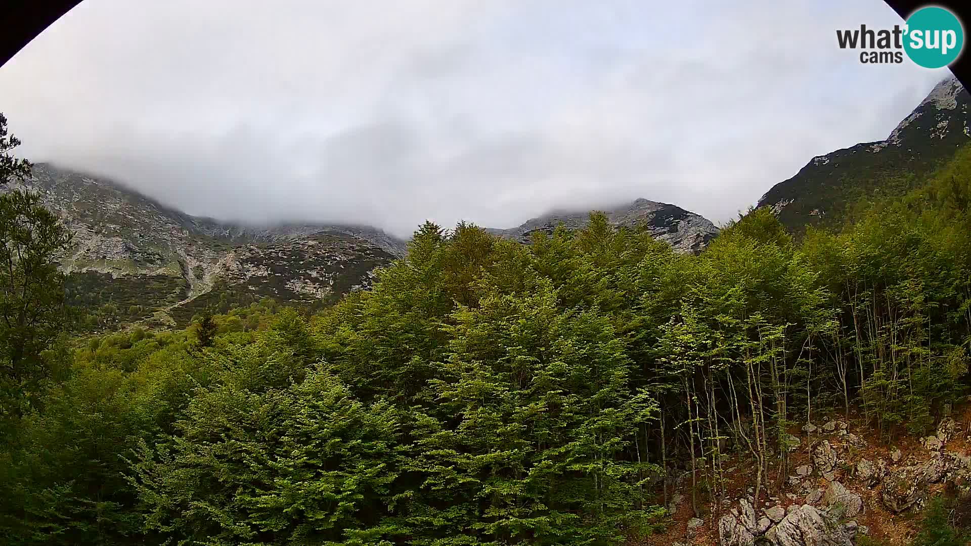 PLANINA RAZOR kamera (1315) | pogled na Vogel in Globoko