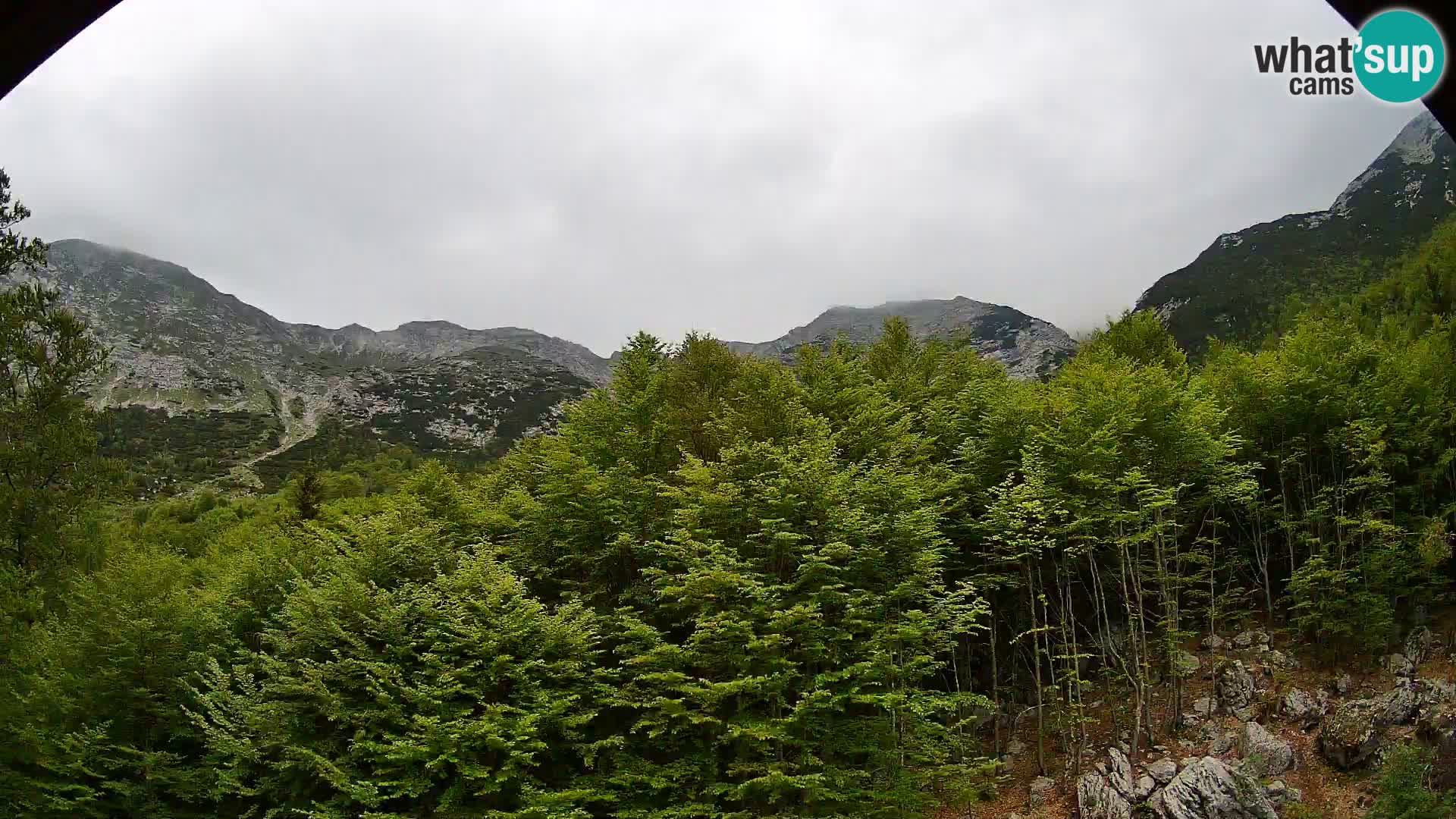 PLANINA RAZOR Live Cam (1315) | vista su Vogel e Globoko