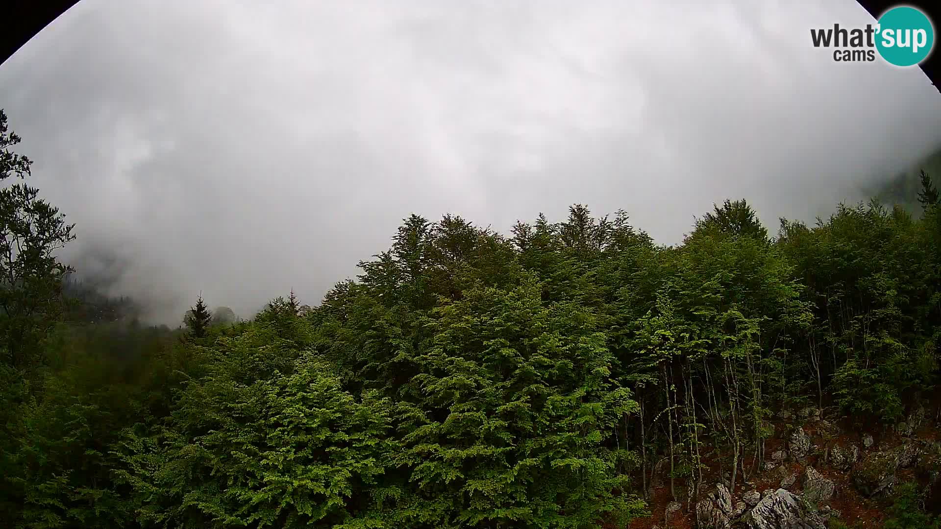 Livecam PLANINA RAZOR (1315) | vue sur Vogel et Globoko