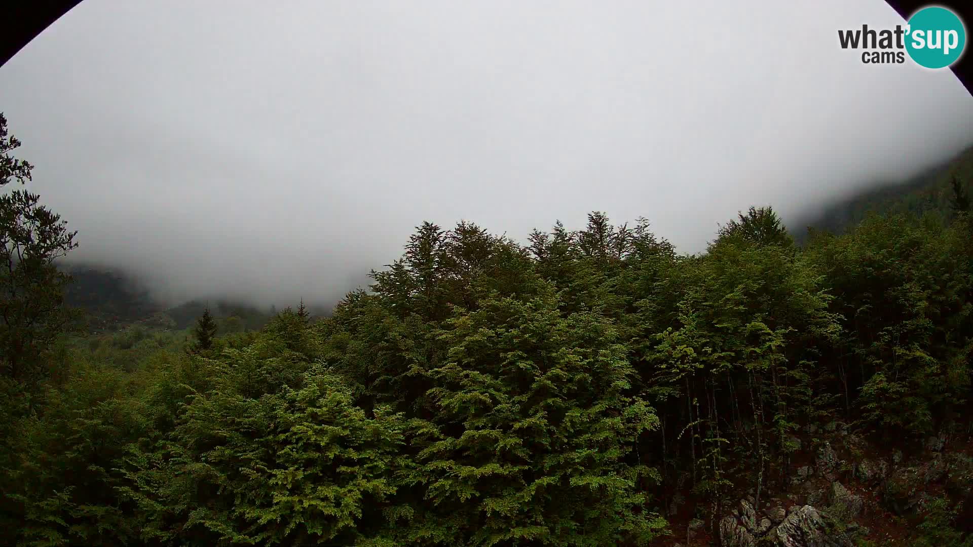 PLANINA RAZOR kamera (1315) | pogled na Vogel in Globoko