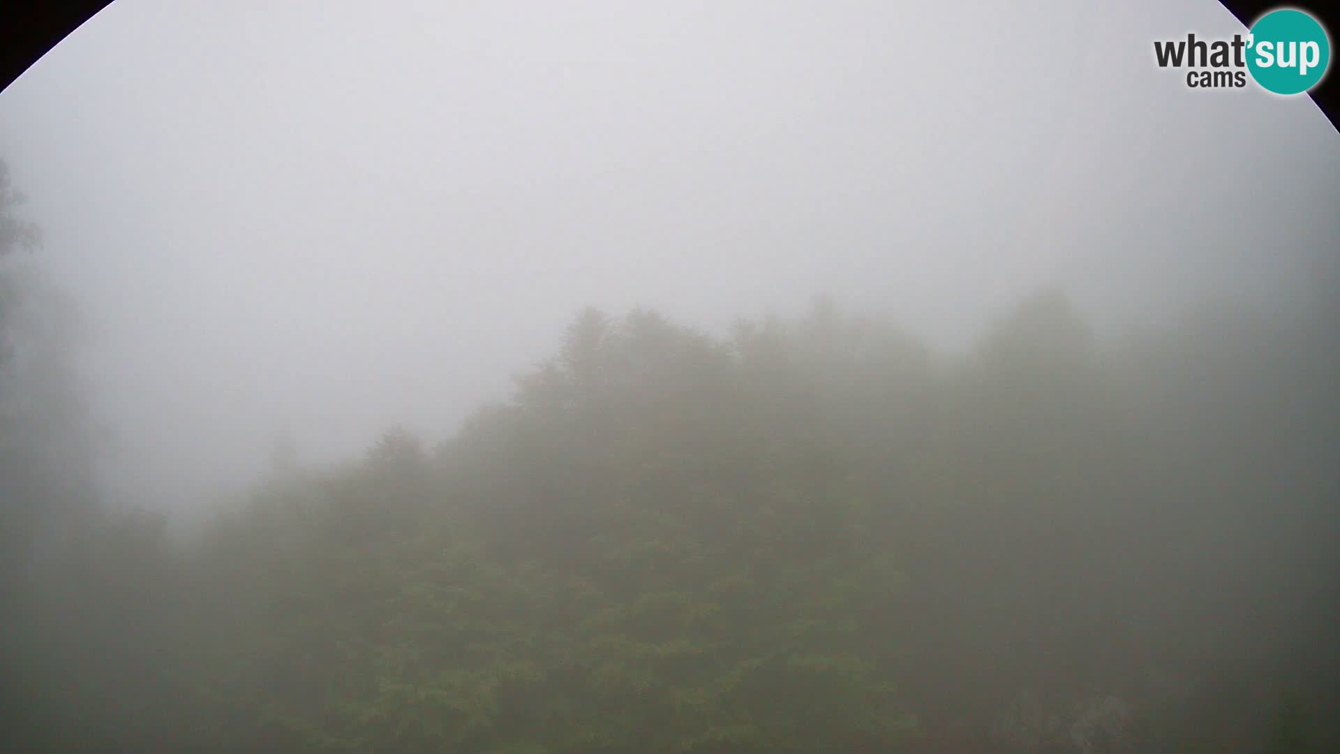 PLANINA RAZOR web kamera (1315) | pogled na Vogel i Globoko