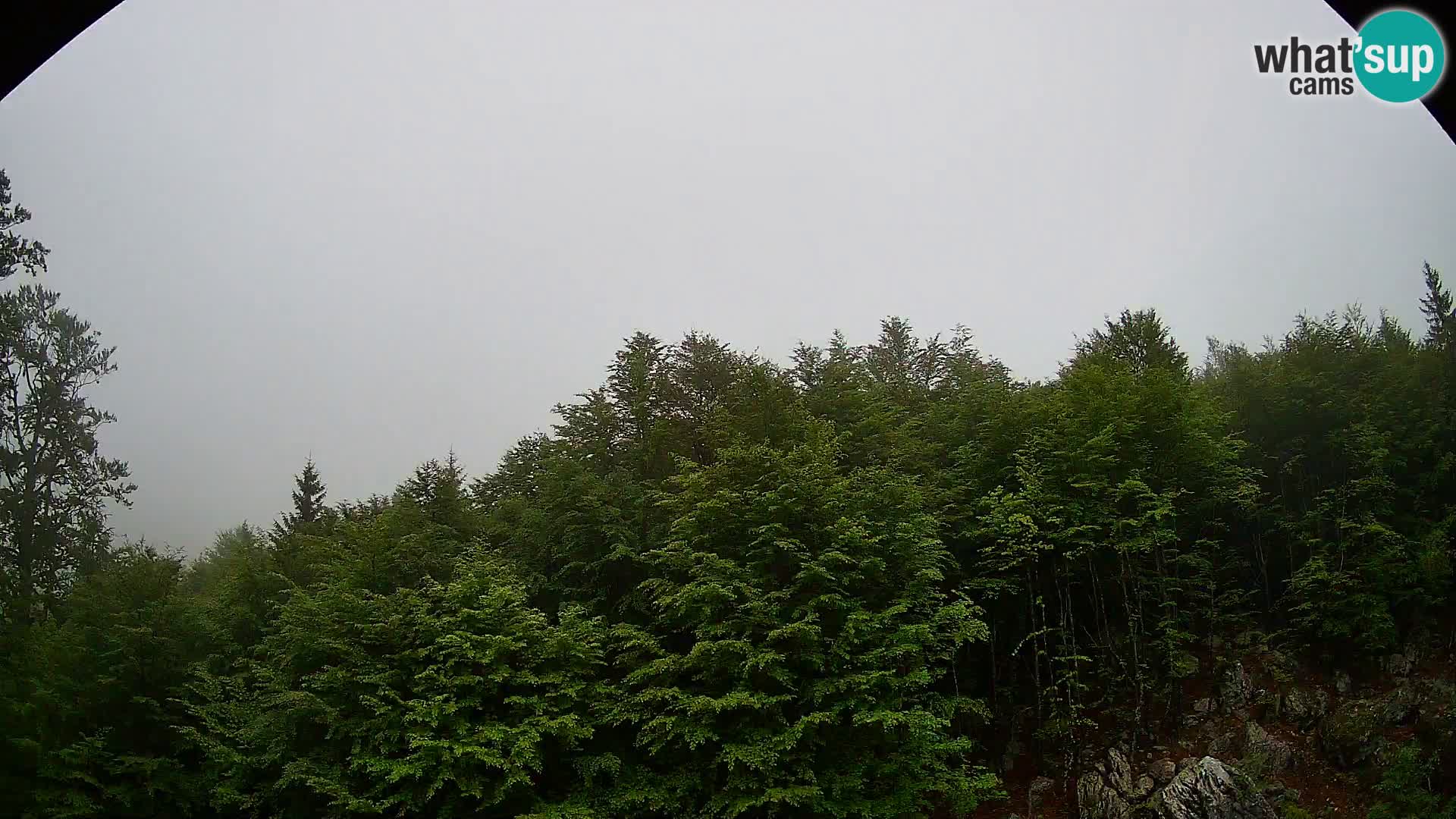 PLANINA RAZOR web kamera (1315) | pogled na Vogel i Globoko