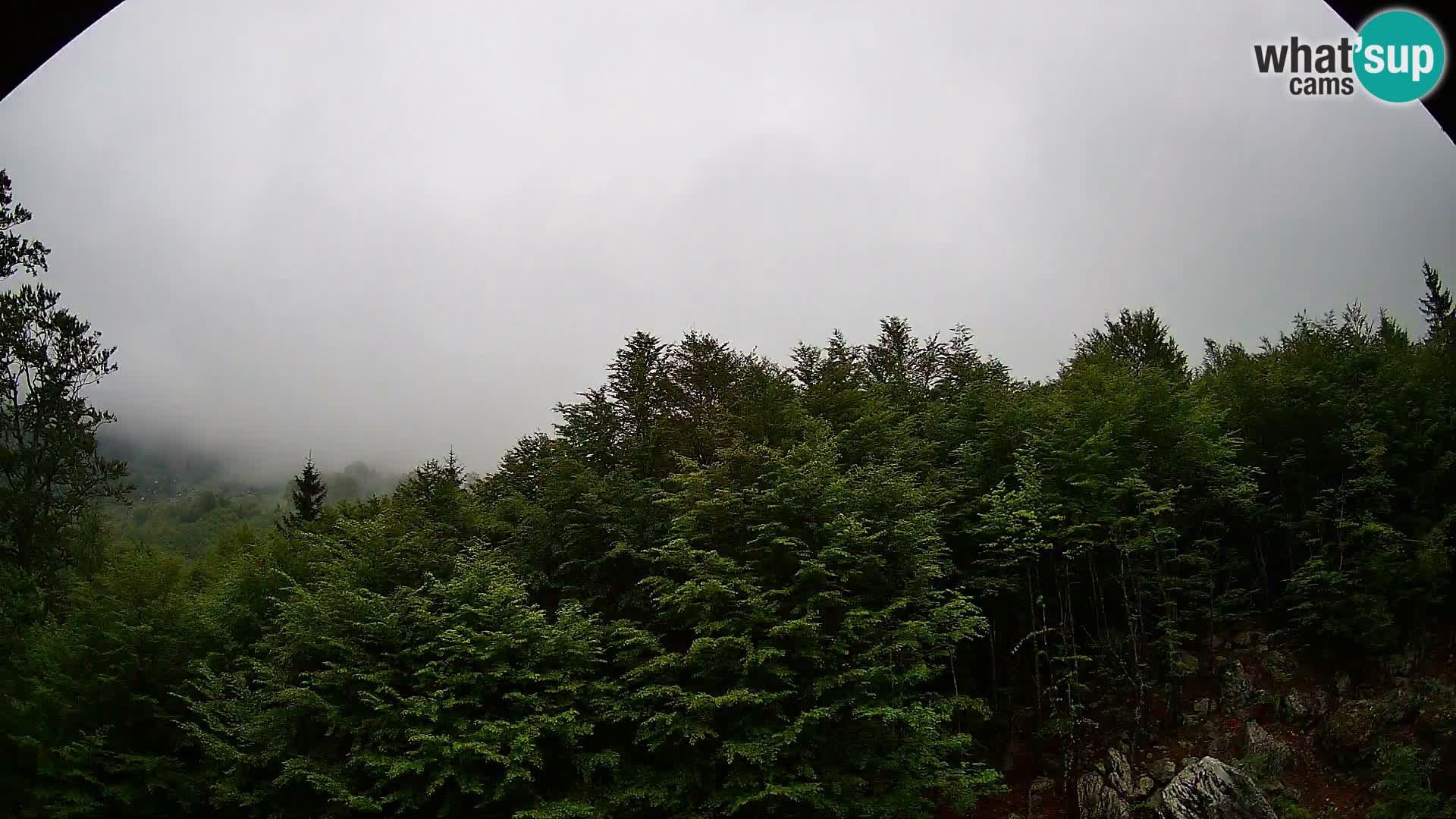 PLANINA RAZOR Live Cam (1315) | vista su Vogel e Globoko