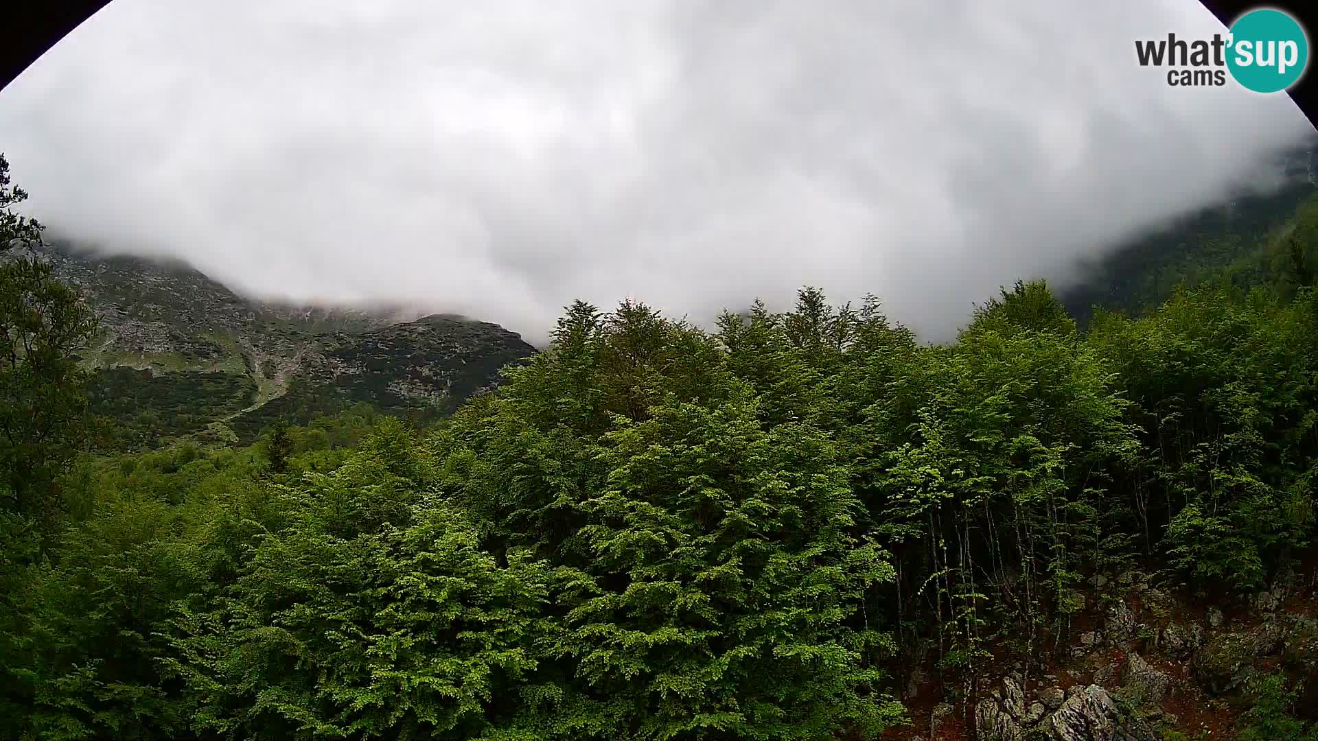 PLANINA RAZOR web kamera (1315) | pogled na Vogel i Globoko