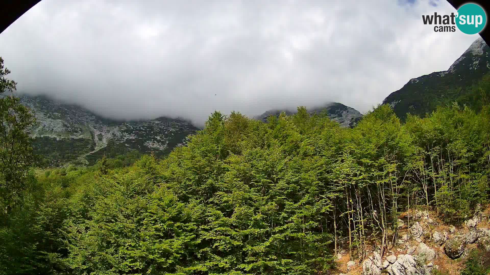 PLANINA RAZOR web kamera (1315) | pogled na Vogel i Globoko